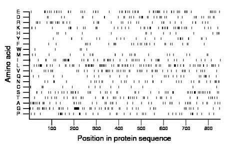 amino acid map