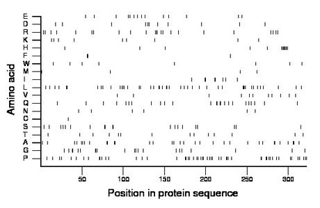 amino acid map