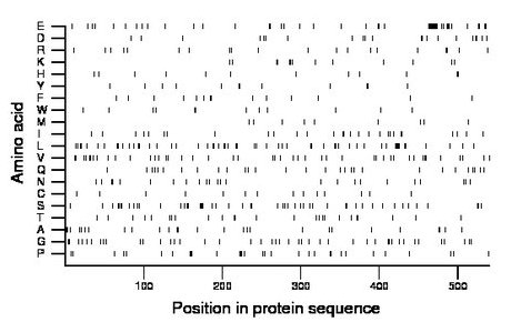 amino acid map