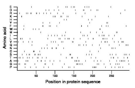 amino acid map