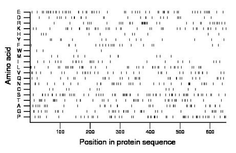 amino acid map