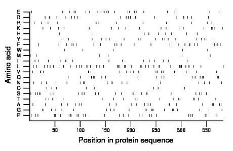 amino acid map