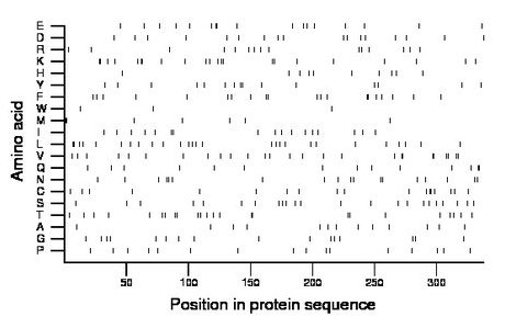 amino acid map