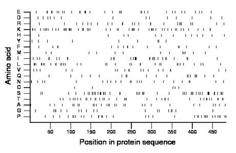 amino acid map