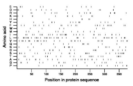 amino acid map