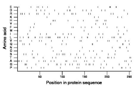 amino acid map