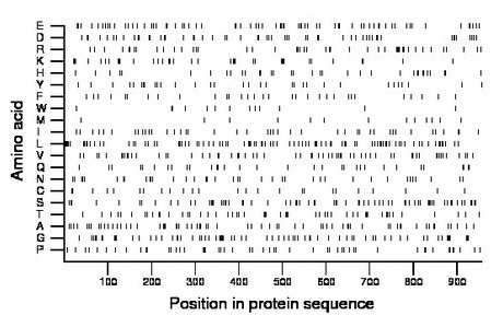 amino acid map