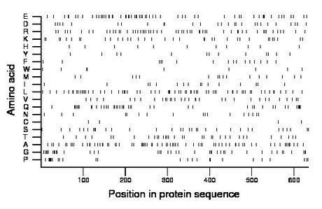 amino acid map