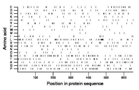 amino acid map