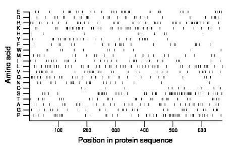 amino acid map