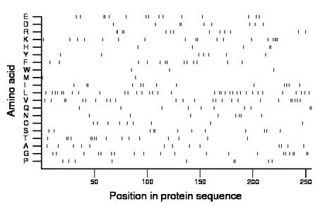 amino acid map