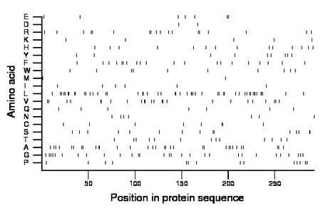 amino acid map