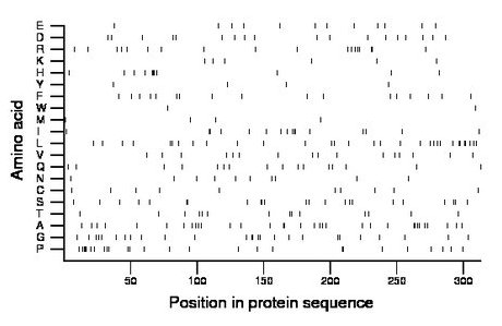 amino acid map