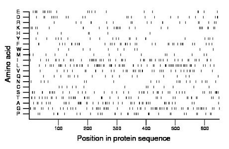 amino acid map