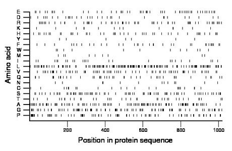 amino acid map