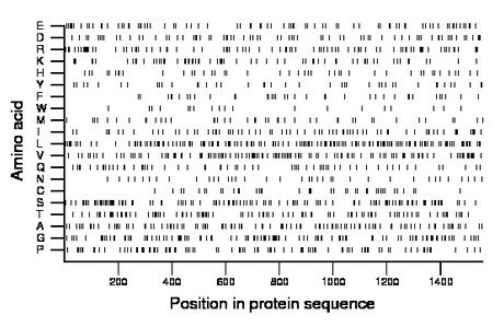 amino acid map