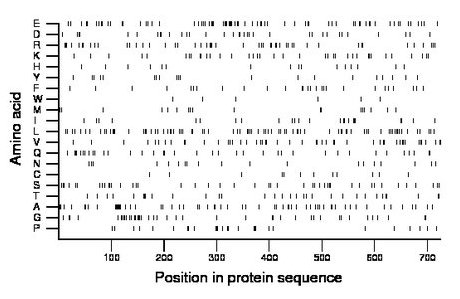 amino acid map