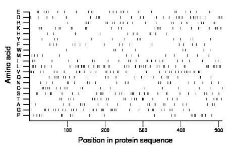 amino acid map