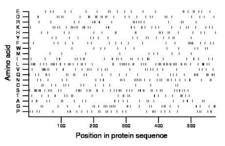 amino acid map