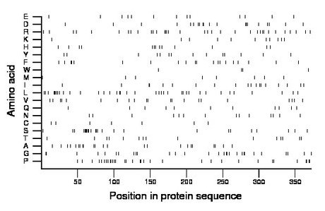 amino acid map