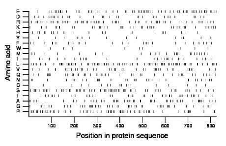 amino acid map