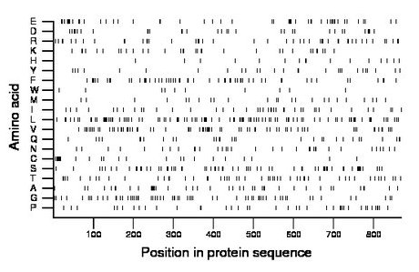 amino acid map