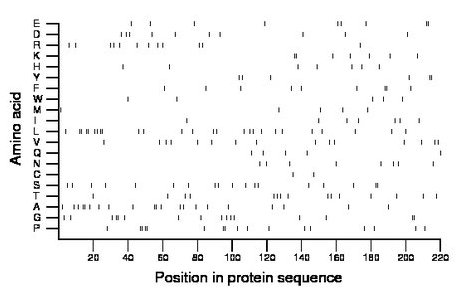 amino acid map