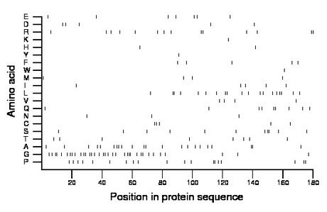 amino acid map