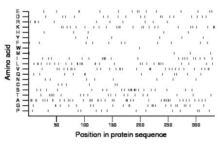 amino acid map