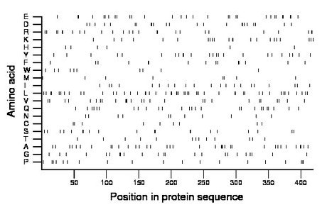 amino acid map