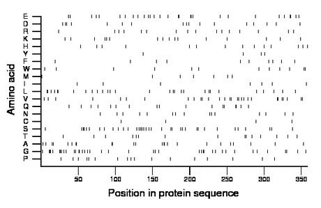 amino acid map