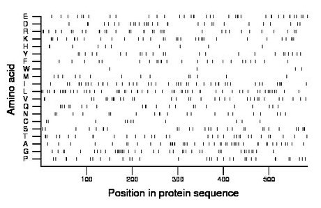 amino acid map