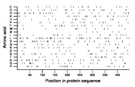 amino acid map