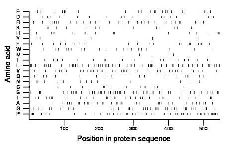 amino acid map