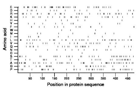 amino acid map