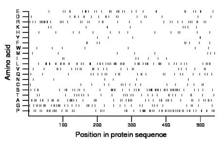 amino acid map