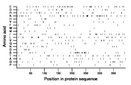 amino acid map