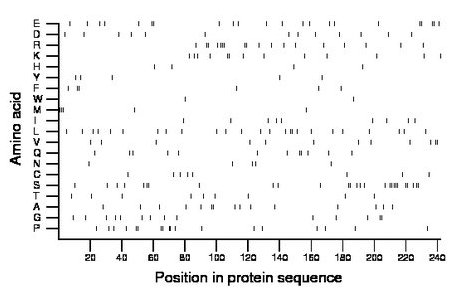 amino acid map