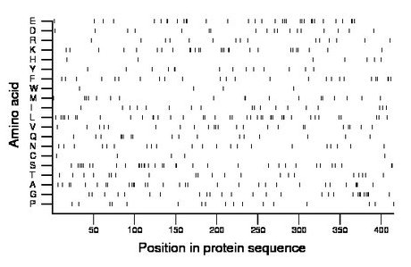 amino acid map