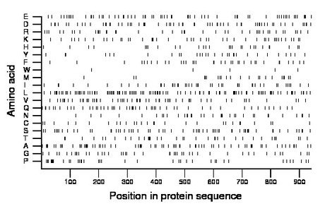 amino acid map