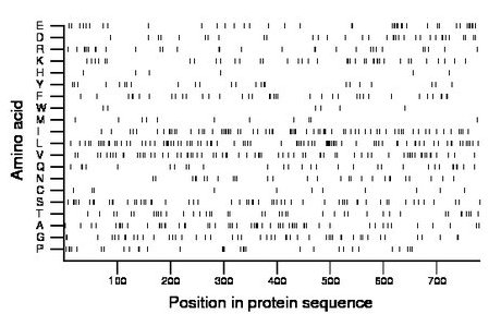 amino acid map