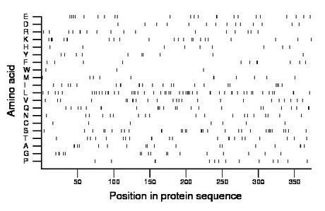 amino acid map