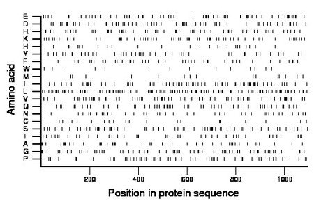 amino acid map