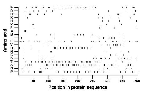 amino acid map