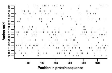 amino acid map