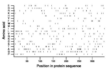 amino acid map