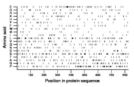 amino acid map