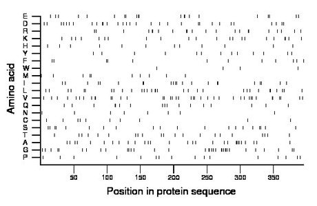 amino acid map