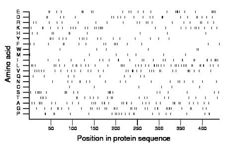 amino acid map