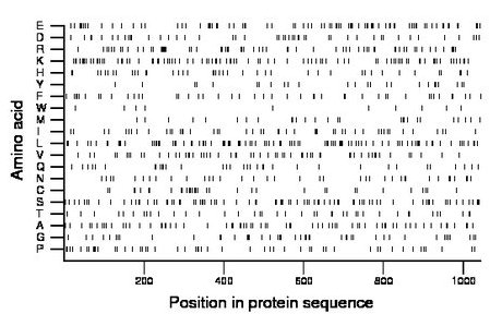 amino acid map